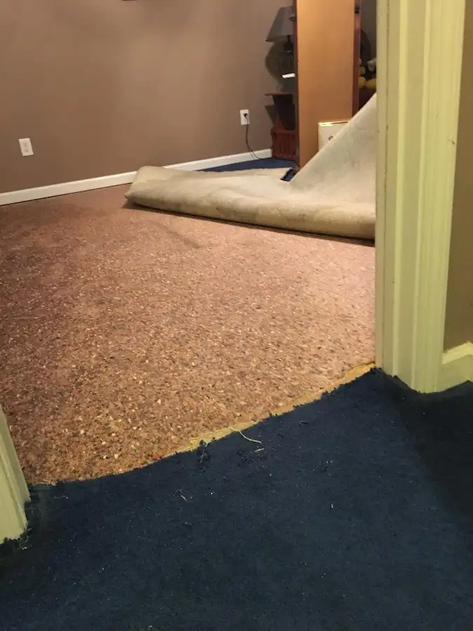 Carpet pad removal revealing water damage during Drying & Dehumidification in Cape Elizabeth